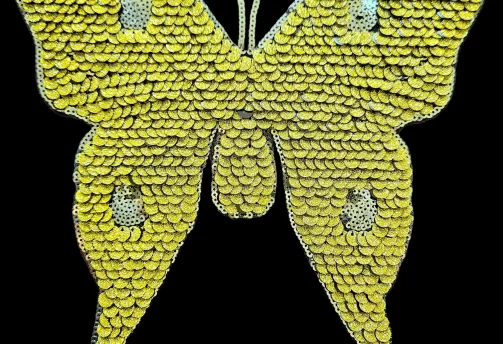 IMG_20240124_220125_192 IMG_20240124_220125_192